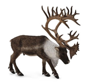 Caribou Woodland