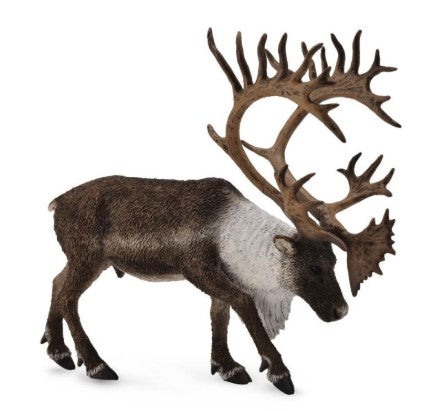Caribou Woodland