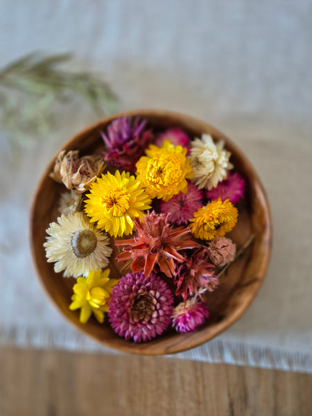 Dried Flower Blooms - Pack Two
