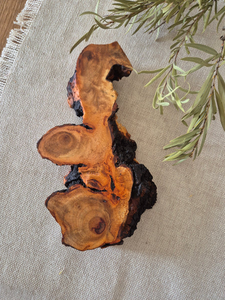 Wooden Feature Slice