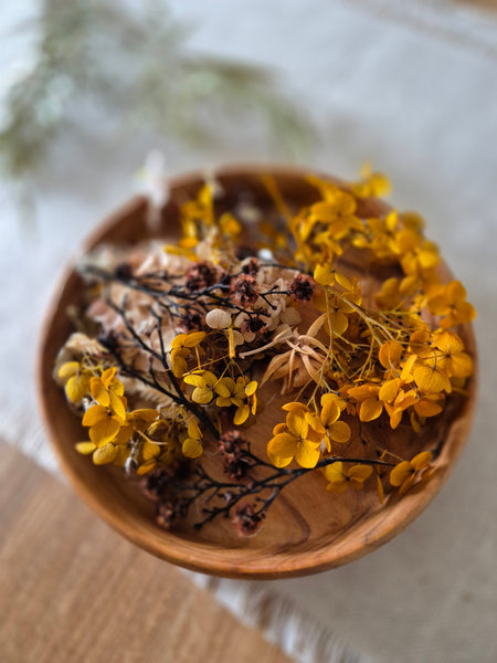Dried Flowers Browns - Pack Four