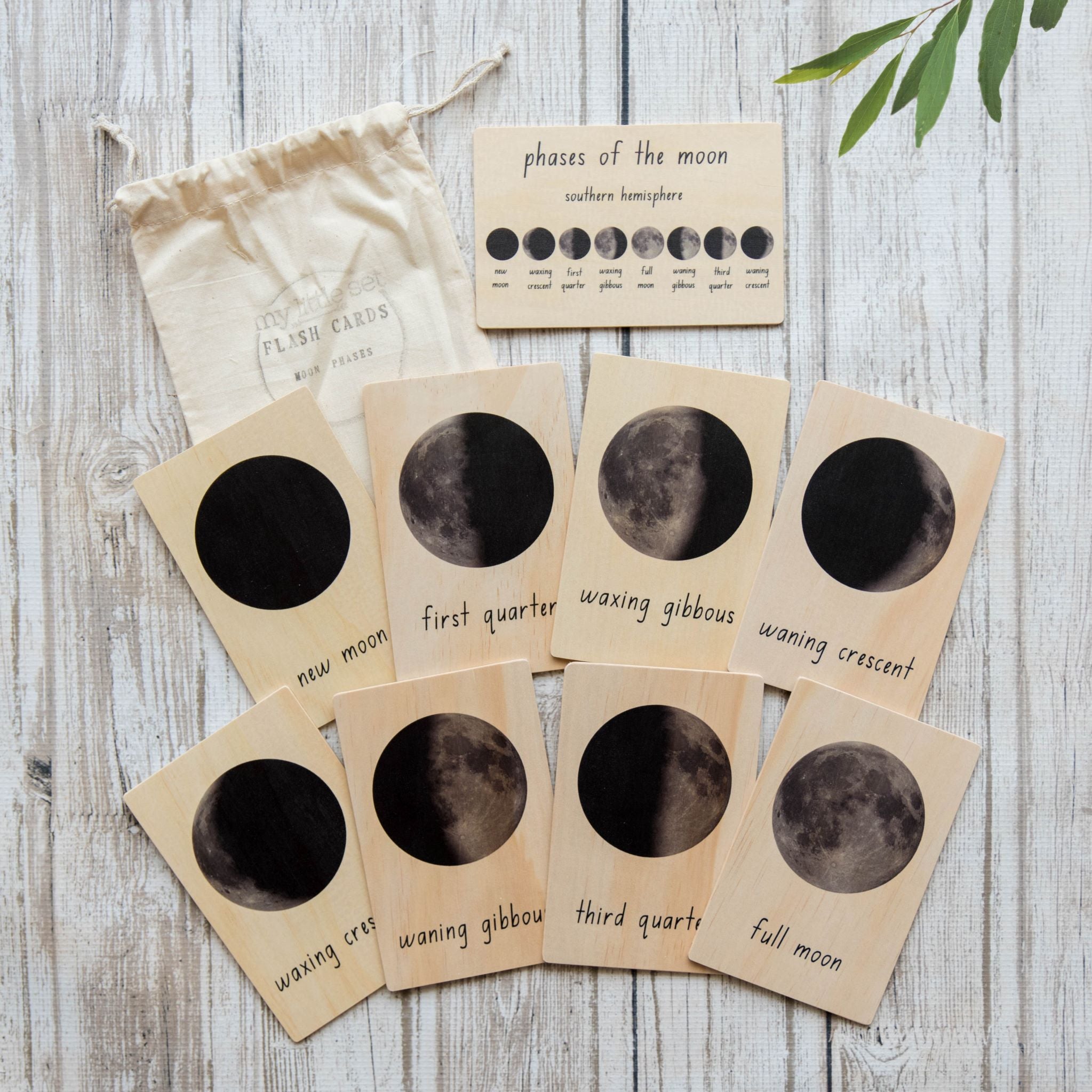 moon phases - flash cards
